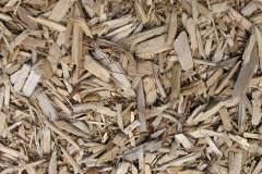 biomass boilers Blantyre